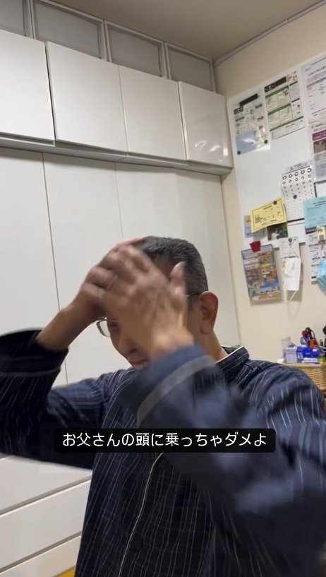 提供：cohakuさん