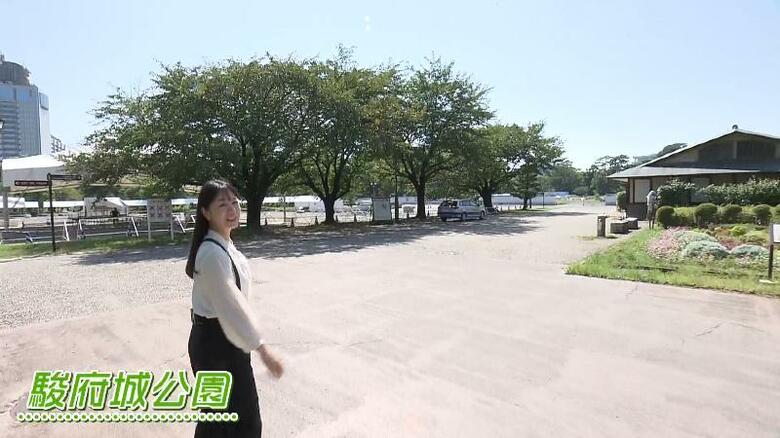 駿府城公園(静岡市葵区駿府城公園)