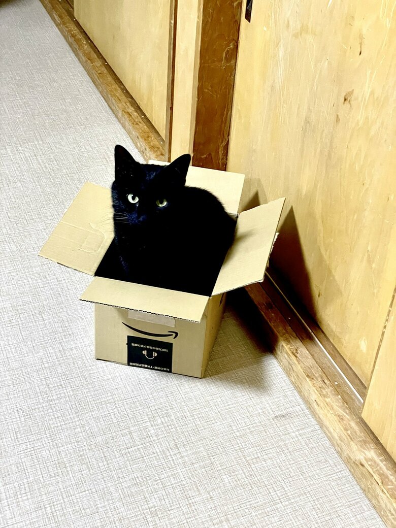 提供：マクーさん