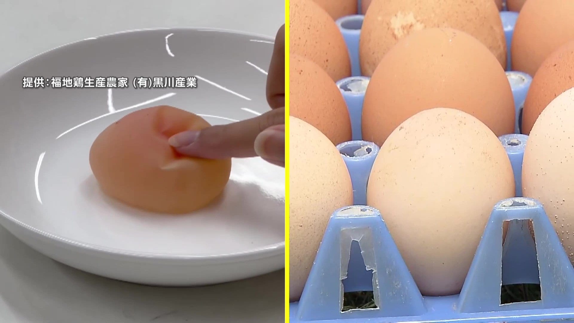 【悲鳴】「エッグショック」再び？卵の卸売価格高騰…過去最高値2023年に迫る　養鶏場で異変“夏バテ”で卵の殻薄く　ブヨブヨの「軟卵」は「ニワトリの故障」