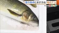 【アユ】脂がのって食べ頃！旬迎えた“アユ”「栄養価高くさっぱりした味わい楽しめる」　店頭で選ぶ際は“スタイル”に注目！？