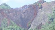 森林の焼失面積は概算で1708ha　岩手・大槌山林火災、協議会の初会合