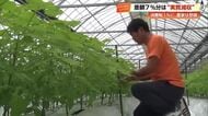 消費税減税は《手放しで喜べない》売上7％減に直結する農家が所得補償を訴える【高知】