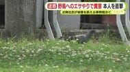 野鳥へのエサやりで糞害　本人を直撃　驚きの理由とは？　近隣住民が被害を訴える事例相次ぐ