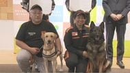 災害救助犬「聡太郎」はイオンモール熊本で捜索活動　優れた嗅覚で倒壊家屋や土砂から人を探す　“災害時に速やかに出動を”　長野県とNPOが協定