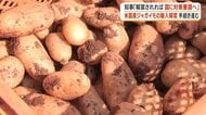 アメリカ産ジャガイモ輸入解禁、手続き最終段階へ　病害虫・価格影響の懸念広がる　鹿児島県知事が国への要請を表明