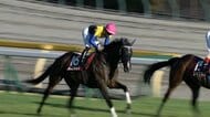 【アイルランドトロフィー・G2】25年オークス馬カムニャック約1年ぶりの勝利！　川田将雅騎手3月ファルコンS以来の重賞制覇