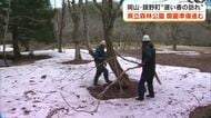 標高は約１０００メートル…雪で閉園していた鏡野町の「森林公園」４月１８日開園に向け準備進む【岡山】