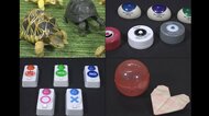 第1次「キン消し」から数えて第4次…ガチャガチャブーム再燃 商品開発のウラに“緻密なターゲット設定”