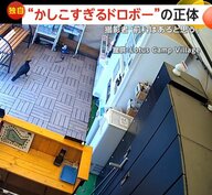 【独自】「前科はあると思う」賢すぎる泥棒カラスの手慣れた手口…期間限定味のカップ麵にカラス対策したポテチまで