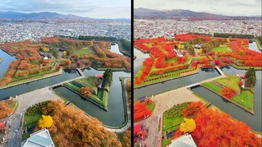 地図ゼンリン謝罪「誤解生んだ」真っ赤に“加工しすぎた”五稜郭の紅葉の寫真をSNS投稿