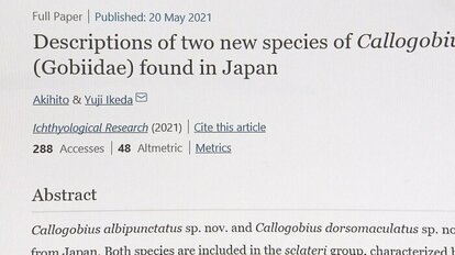 2021年には新種のハゼを発見し論文を出された