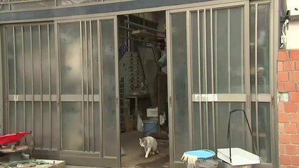 クマが住宅に2度侵入、玄関の鍵壊す　住人が大声出して追い払う　岩手・雫石町