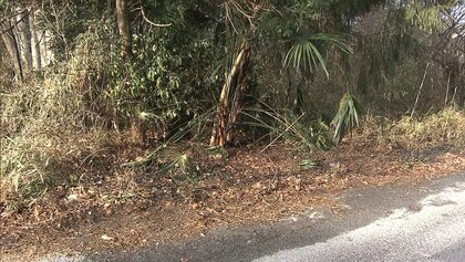 連続不審火か…防犯カメラに不審人物　18日の9件に続き雑木林と下草焼け今回も火の気なし　栃木・宇都宮