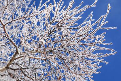“暖気”のいたずら「凍雨」と「雨氷」が中国で猛威！ 適度に降れば絶景も…