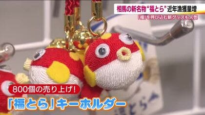 福島の天然トラフグ「福とら」　浜の駅ではキーホルダーも密かな人気に　グッズで新名物を盛り上げる