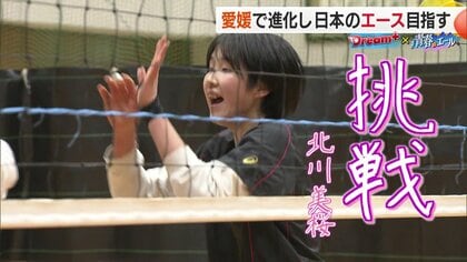 「挑戦」愛媛が育てた299センチの跳躍力　春高バレーの舞台から最高峰リーグへ羽ばたく愛媛の星