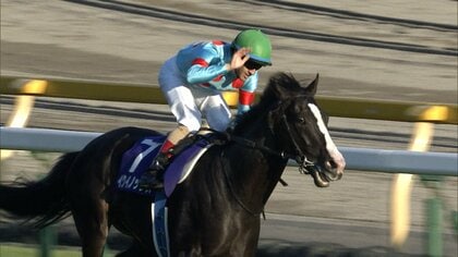 天皇賞（秋）】古馬最高の栄誉へGⅠ馬6頭が集結 豪華