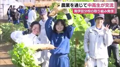 あまりの大きさに中学生もビックリ！農業を通じて中高生が交流　野菜の収穫を体験　南伊豆分校の取り組み発信