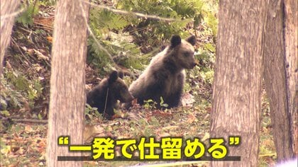 “災害級”クマ被害…各地で出没続き緊急銃猟も　警察官がライフル銃で駆除可能に…仕留めきれず“手負いグマ”の危険も