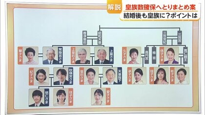 解説】皇族数の確保、とりまとめ案 女性皇族の結婚後に身分を保持して