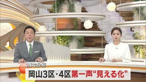 シリーズ衆院選　候補者第一声をＡＩ分析で&rdquo;見える化&rdquo;　第三回・岡山３区と４区【岡山】