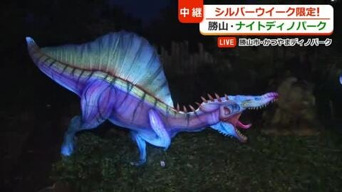懐中電灯を手に“恐竜”を探す冒険　勝山の夜に楽しむ「ナイトディノパーク」　エメラルドやトパーズが見つかる！？宝石探しも