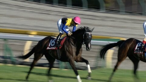 【アイルランドトロフィー・G2】25年オークス馬カムニャック約1年ぶりの勝利！　川田将雅騎手3月ファルコンS以来の重賞制覇