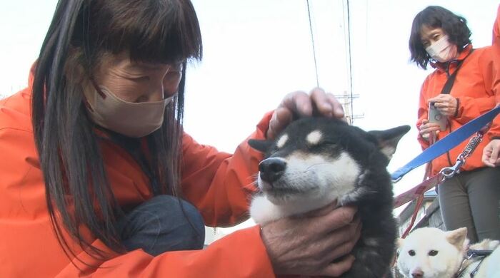 松本ドッグレスキュー・池田良子さん