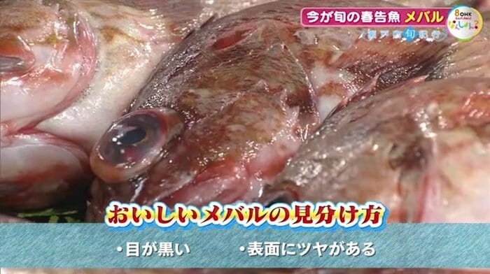 おいしいメバルの見分け方