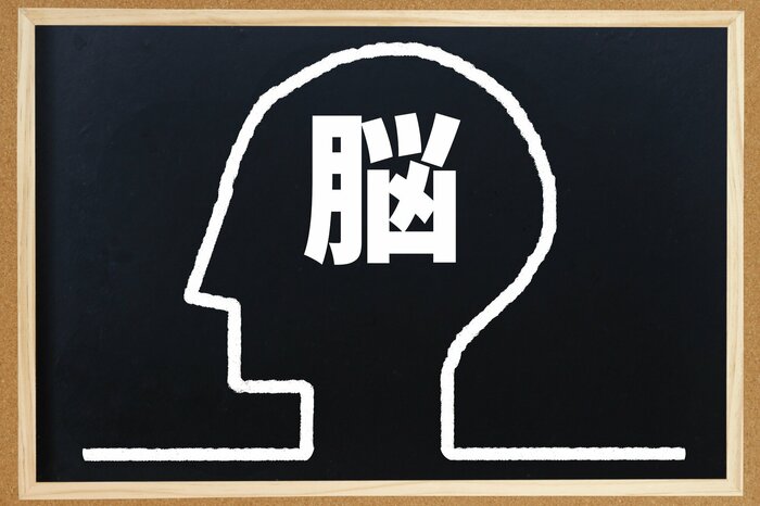 血流の良さは脳にとって死活問題(画像:イメージ)