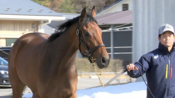 3月 英気を養うレガレイラ