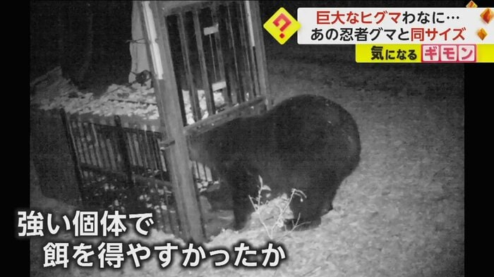 (石狩市)