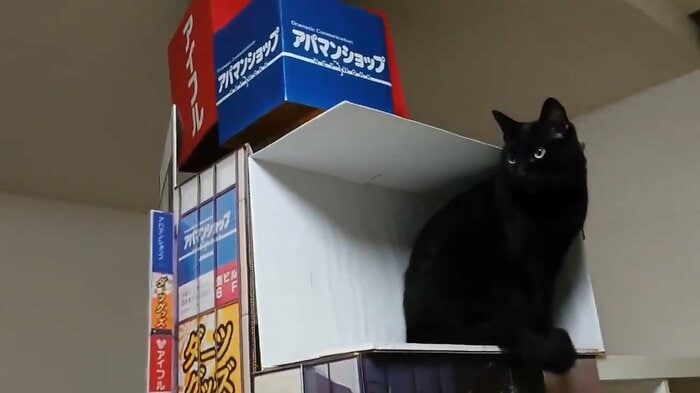 立体視を超えた!?(提供:現代美術二等兵ふじわらさん)