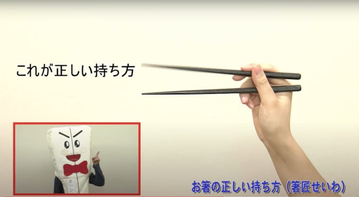 提供:箸匠せいわ