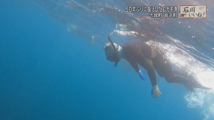 海面から岩礁にいる岩ガキを確認