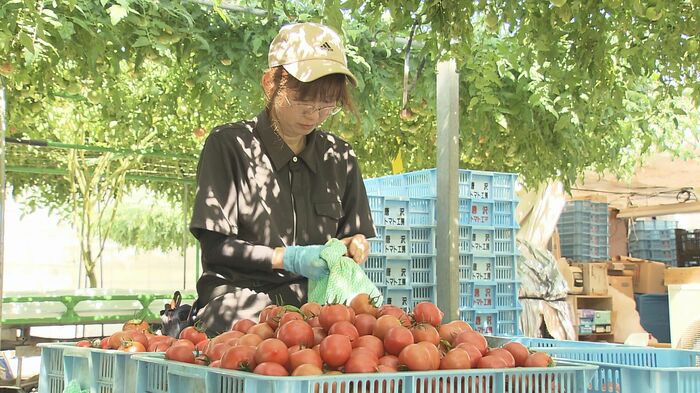 長野県全体への販路拡大を図る