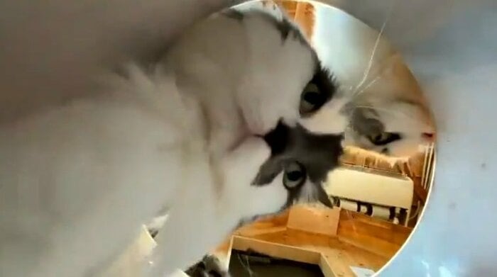 大接近からの……
