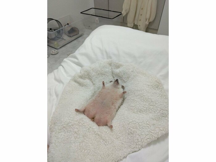 投稿の写真