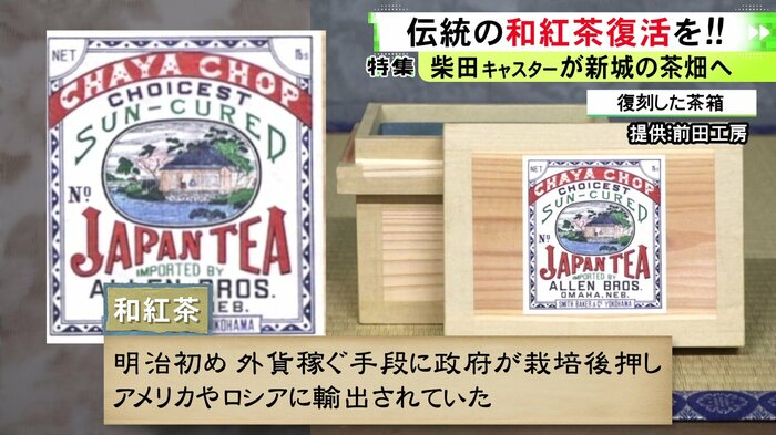 ニュースONE