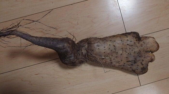 最後は「おいしくいただいた」という投稿者