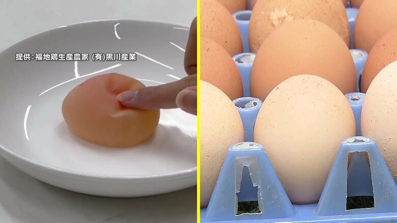【悲鳴】「エッグショック」再び？卵の卸売価格高騰…過去最高値2023年に迫る　養鶏場で異変“夏バテ”で卵の殻薄く　ブヨブヨの「軟卵」は「ニワトリの故障」｜FNNプライムオンライン