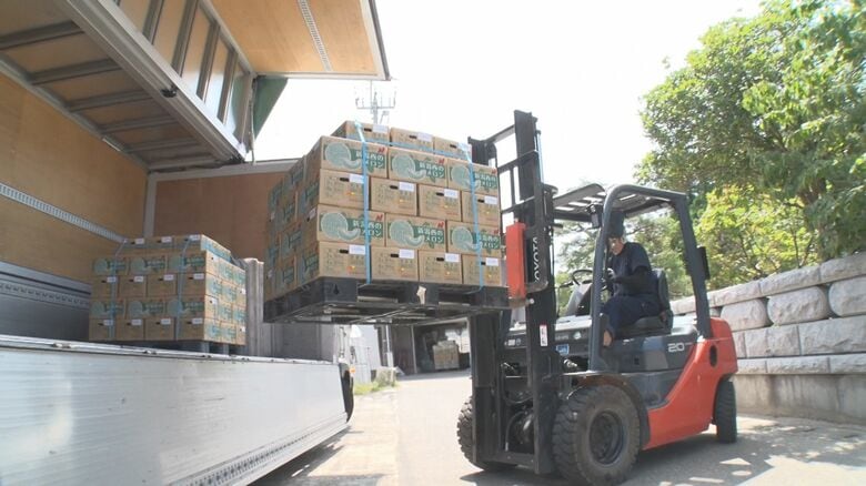 海外でも人気！新潟市西区産“メロン”を香港へ出荷 去年は800玉が即完売「新潟の食の魅力感じてほしい」｜FNNプライムオンライン