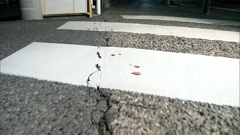 女子高校生（15）を刃物で切りつけ殺害か…逮捕された谷内寛幸容疑者（24）確保時の様子「落ち着いている感じ」　さいたま市｜FNNプライムオンライン