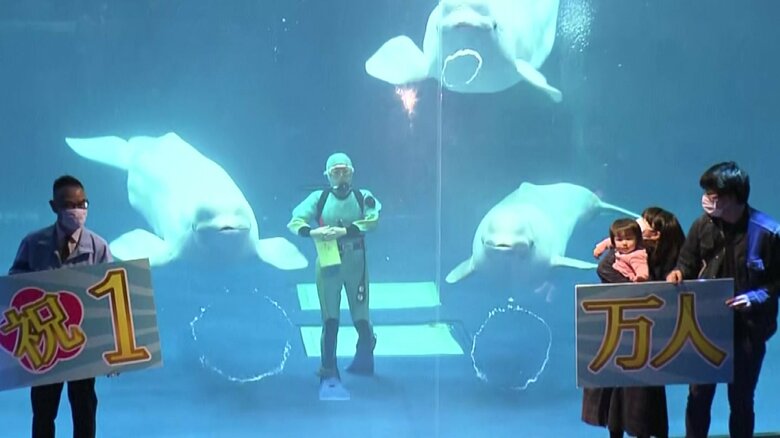 しまね海洋館アクアスが1000万人達成　シロイルカの「バブルリング」で祝福｜FNNプライムオンライン