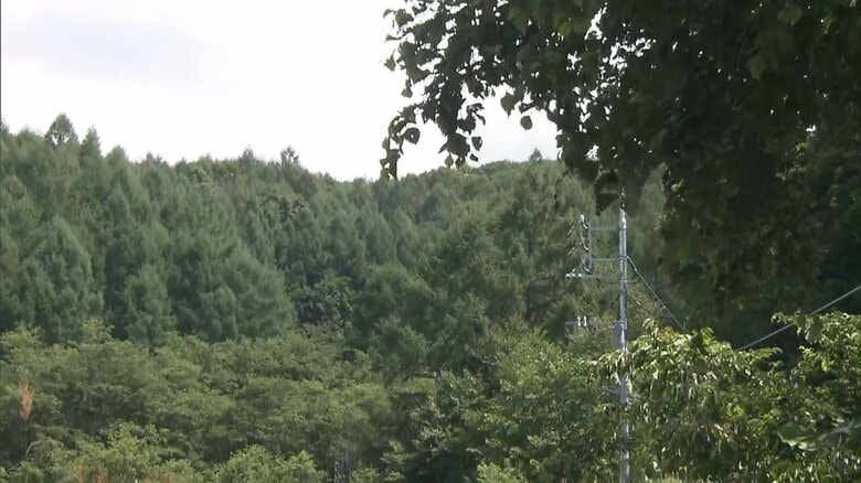 遭難から8日　持参の食料でしのぎ救助　沢登り中、鉄砲水で流された56歳女性　重傷負い衰弱も意識あり　群馬・みなかみ町｜FNNプライムオンライン