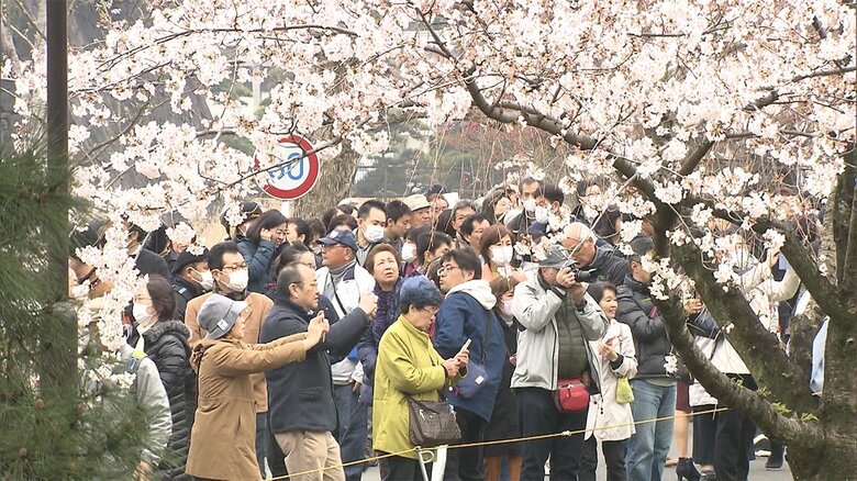 春の「皇居の通り抜け」4年ぶり　今月25日から　桜の季節「マスクは個人判断で」｜FNNプライムオンライン
