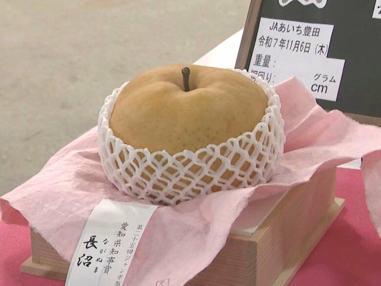 1個36万円で落札…『ジャンボ梨コンテスト』で重さ約2.8kg 胴回り約58cmの梨が優勝 夏場の少雨で全体的に小玉傾向｜FNNプライムオンライン