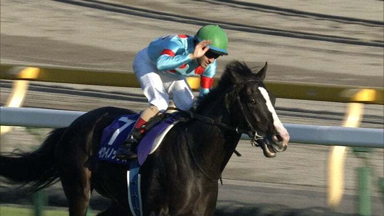 ​【天皇賞（秋）】古馬最高の栄誉へGⅠ馬6頭が集結　豪華メンバーによる決戦！｜FNNプライムオンライン