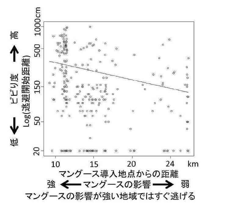 (画像:東京農工大学プレスリリースより)